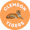 Orange Clemson Pin