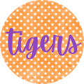 Stars Tigers Pin