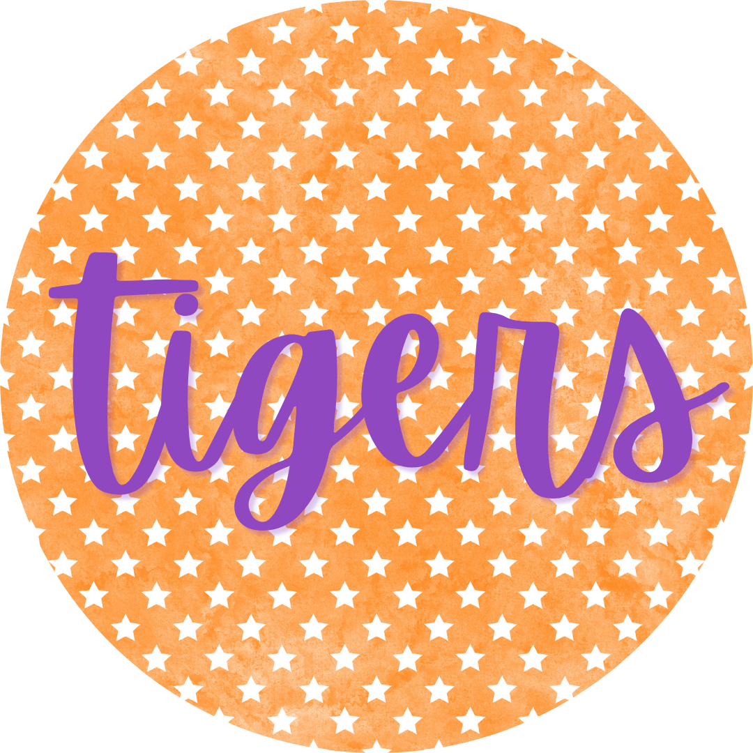 Stars Tigers Pin
